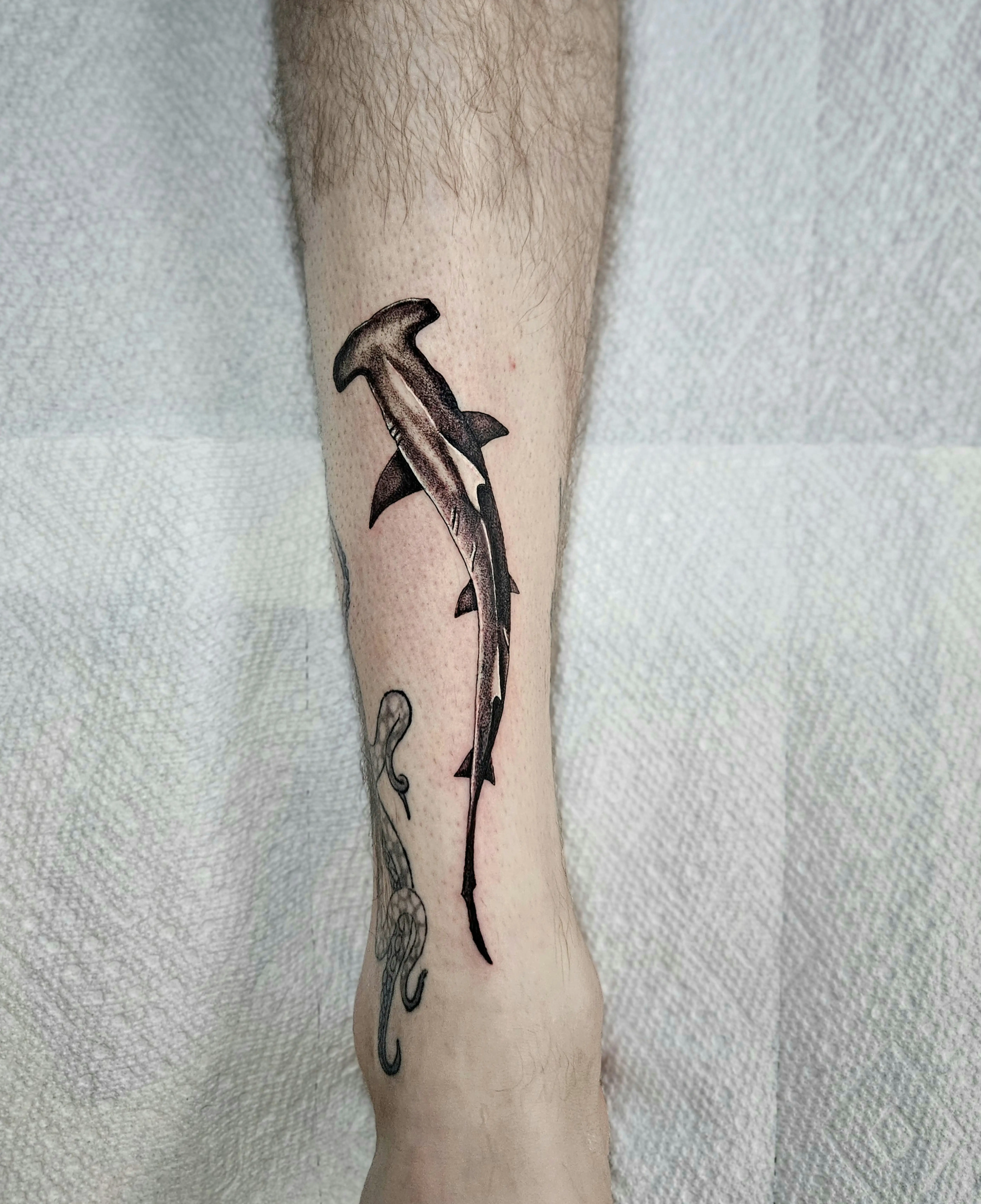 Realistic hammerhead shark tattoo in black and gray shading on the calf.